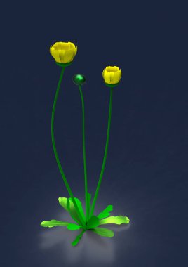 vazo çiçekleri 3d ayrı tut moduyla arka plan