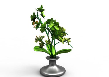vazo çiçekleri 3d ayrı tut moduyla arka plan