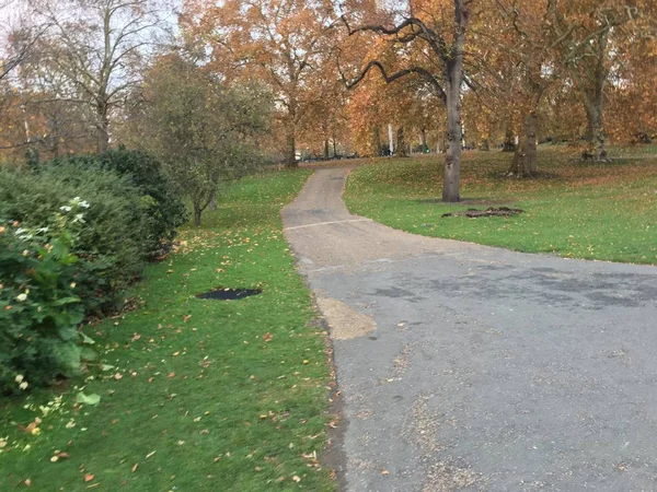 Vista Del Parque Otoño Día Nublado —  Fotos de Stock