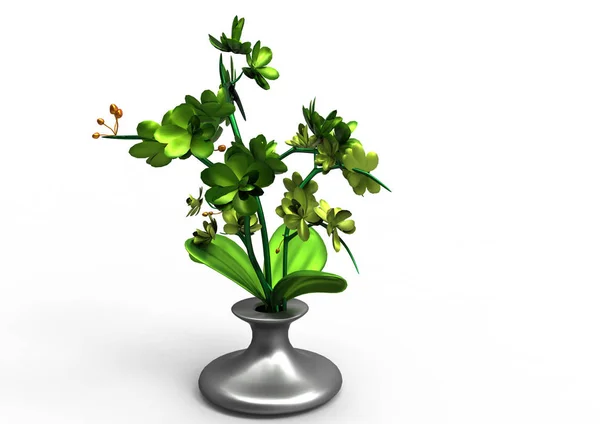 Vase Flowers Isolate Background — Stock Photo, Image