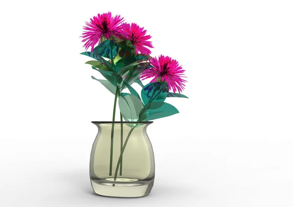 Vase Flowers Isolate Background — Stock Photo, Image