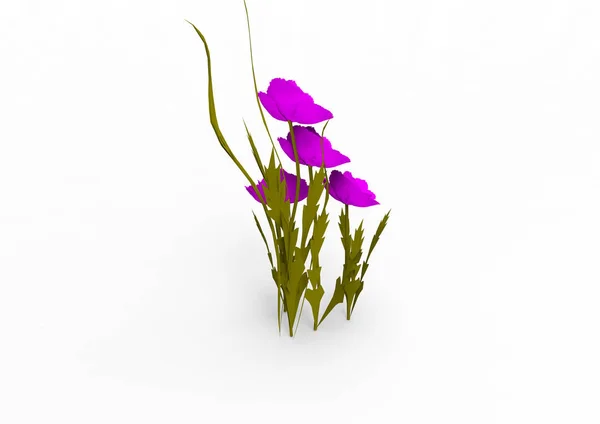 花瓶花3D 隔离背景 — 图库照片