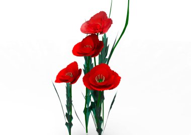 vazo çiçekleri 3d ayrı tut moduyla arka plan