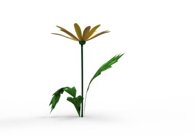 vazo çiçekleri 3d ayrı tut moduyla arka plan