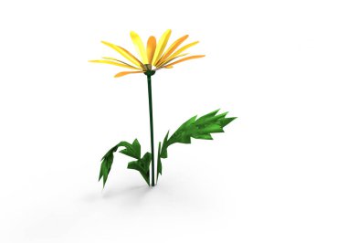 vazo çiçekleri 3d ayrı tut moduyla arka plan