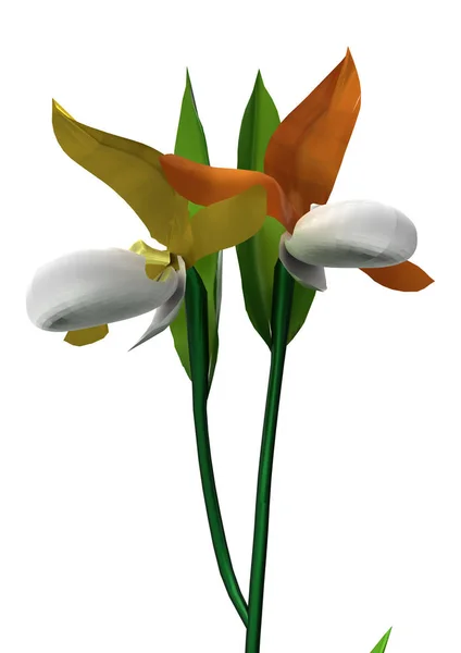 Wazon Kwiaty Tła Izolat — Zdjęcie stockowe