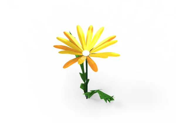Fleurs Vase Isoler Fond — Photo