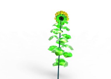 vazo çiçekleri 3d ayrı tut moduyla arka plan