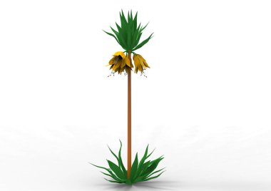 vazo çiçekleri 3d ayrı tut moduyla arka plan