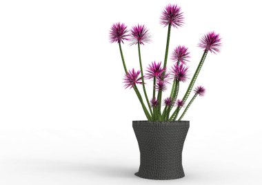 sinekkapan bitki 3d ayrı tut moduyla arka plan