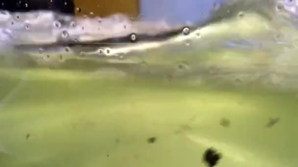 Primer Plano Tetera Con Agua Hirviendo — Vídeo de stock