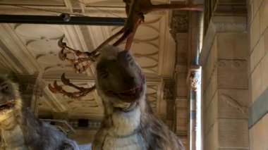 Müze inşaatında dinozor hareketinin görünümü