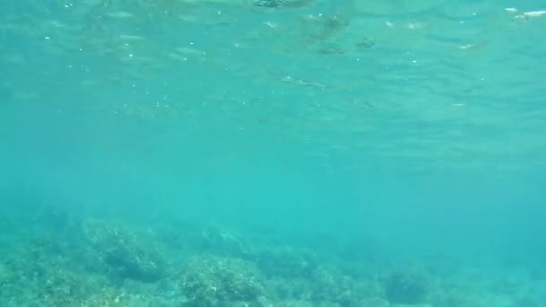 Взгляд Движение Подводных Вод Дневное Время — стоковое видео