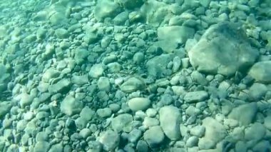 gündüz sualtı hareketinin görünümü