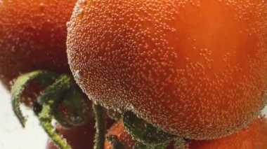 Bütün domatesler suda yüzüyor.