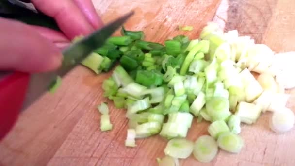 Primer Plano Las Manos Cortando Cebolla Joven Cocina — Vídeo de stock