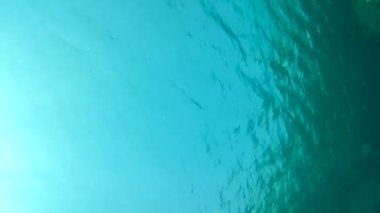 gündüz sualtı hareketinin görünümü