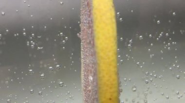 suda yüzen greyfurt dilimi