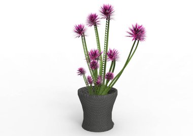 sinekkapan bitki 3d ayrı tut moduyla arka plan