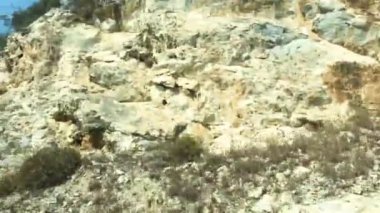 gündüz araba yolculuğu sırasında manzara görünümü 