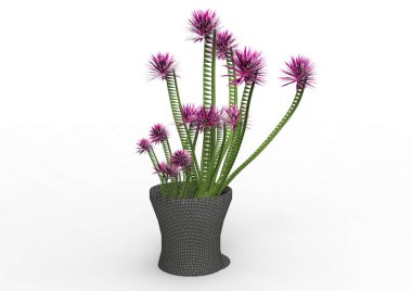 sinekkapan bitki 3d ayrı tut moduyla arka plan