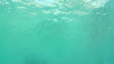 gündüz sualtı hareketinin görünümü