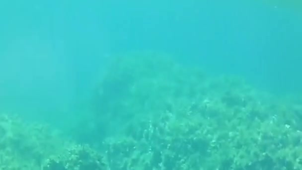 Doba Podmořského Pohybu Dne — Stock video