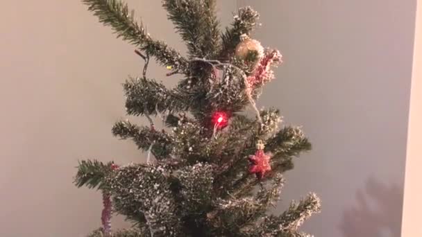 Weihnachtsbaumbeleuchtung Geschmückt — Stockvideo