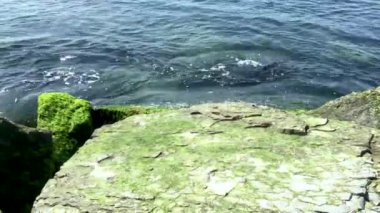 gündüz dalga sıçraması ile kayalık kıyı 