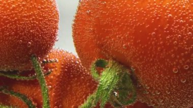 Bütün domatesler suda yüzüyor.