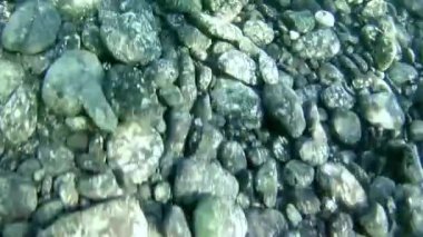 gündüz sualtı taşların görünümü