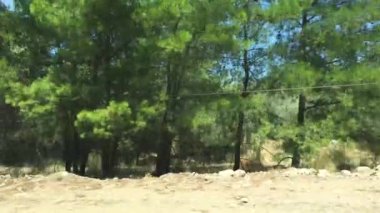 gündüz araba yolculuğu sırasında manzara görünümü 