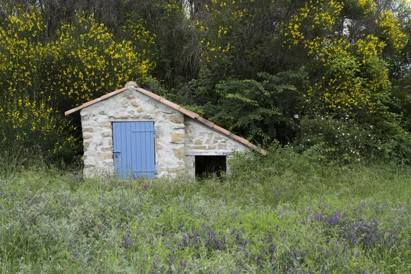 Viejo cobertizo de piedra entre flores de verano en provence francés — Foto de Stock