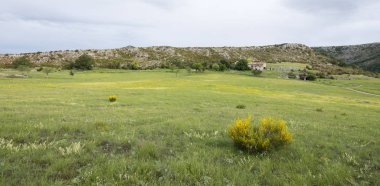yaz çiçek ve gorges du verdon Fransız Provence yakınındaki eski çiftlik
