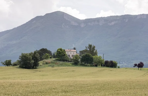 Niwa i typowy dom Prowansji w lecie z górami w tle — Zdjęcie stockowe