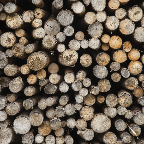 Closeup of round wood logs for use in stove or fire — Stock Photo, Image