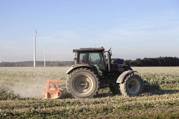 Trattore Raccoglitrice Campo Durante Vendemmia Nella Provincia Olandese Della Pianura — Foto Stock