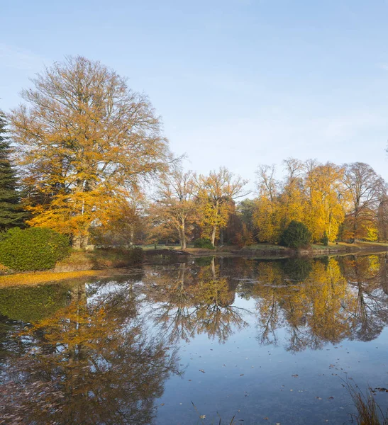 Bomen in de herfst kleuren tot uiting in het blauwe water van de vijver in Nederland — Stockfoto