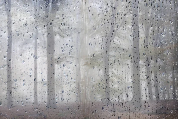 Jesienny Las postrzegane przez taflę szkła bezpiecznego z deszczu — Zdjęcie stockowe