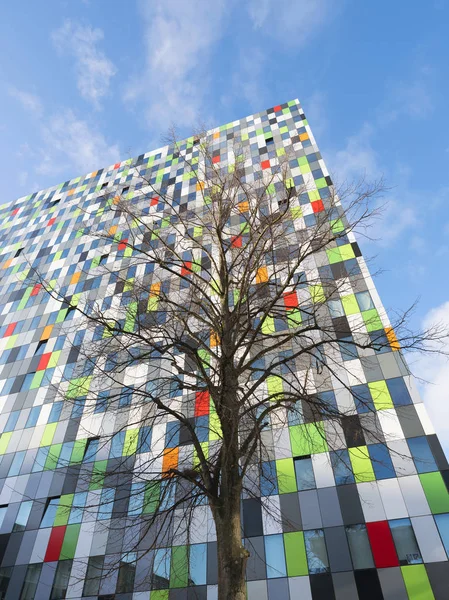 Alojamiento para estudiantes Casa Confetti en el campus universitario Uithof en Utrecht —  Fotos de Stock