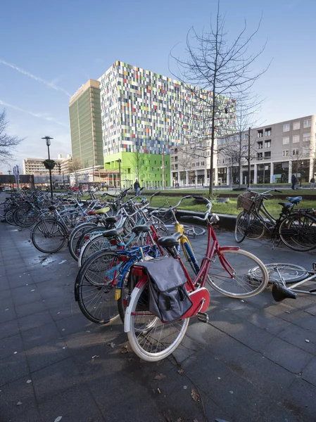 Bicicletas para el transporte de estudiantes en el campus universitario de uithof cerca de utrecht en Holanda — Foto de Stock