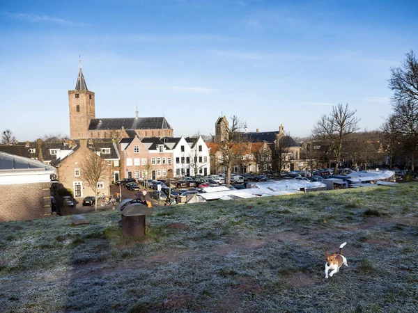 Duży Kościół Naarden Vesting Holandii Psem Pierwszym Planie Słoneczne Zimowe — Zdjęcie stockowe