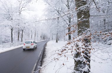 Asfalt yol ve Hollanda'da austerlitz ve utrecht Hollanda Kışın kar orman yoluyla ıslak yüzeyde yansıma otomobili