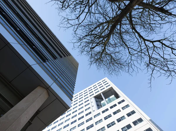 裸の木と青い空の近代的なオフィス建築 — ストック写真