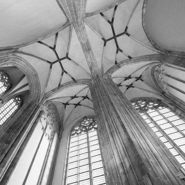 杜奇市多姆教堂的柱子和窗户 — 图库照片