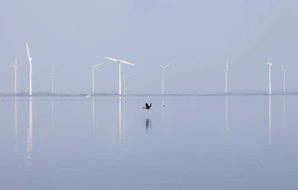 Turbine eoliche e cielo blu riflesso in acqua di Eemmeer vicino hu — Foto Stock