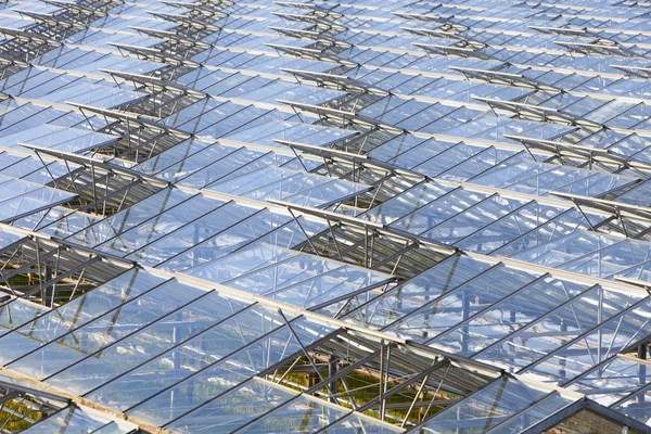 Abstract architecture of glass greenhouses in the netherlands — Stock Photo, Image