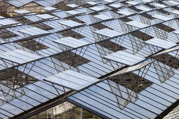 Abstract architecture of glass greenhouses in the netherlands — Stock Photo, Image