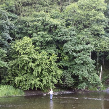adam fre içinde la roche en ardennes yakın nehir de balıkçılık sinek