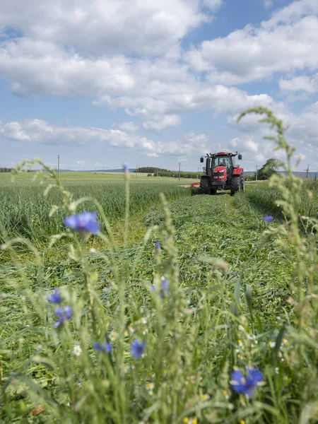 Belgický farmář mojí trávu s traktorem v poli nedaleko Liege v th — Stock fotografie